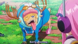 70 years old Luffy | Bonney used his powers