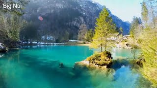 Beautiful Nature Sounds Calming Sleep Music , Flute Music , Nature Sounds , Birds Chirping