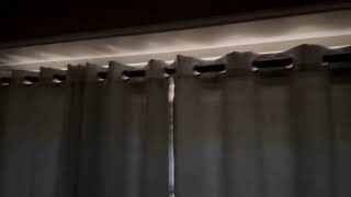 Are blackout curtains something you need