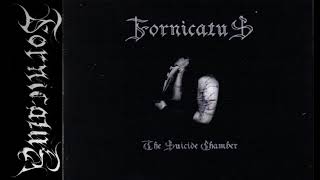 Fornicatus | The Suicide Chamber | FIN Raw Black/DSBM | 2008 Full Demo