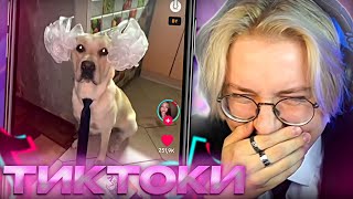 ДРЕЙК СМОТРИТ ТИКТОКИ #60