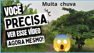 Nosso nordeste com muita chuva - Veja😱