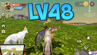 WildCraft Animal Sim Online 3D #34 LV 48 Wild Wolf Pet Simulator Games Android ios Gameplay