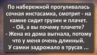 Инстасамка Встретила на Набережной Грузина! Вововочка в Шоке! Сборник Самых Свежих Анекдотов! Юмор!