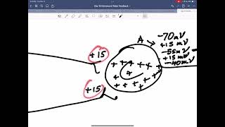 302 15 22 Questions 2 3 4 and 5 Homework and Feedback