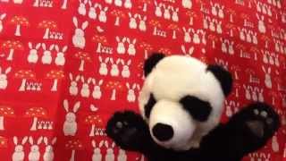 Panda Club for Kids - Animals