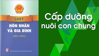 Ý nghĩa của việc cấp dưỡng nuôi con và quy định của pháp luật