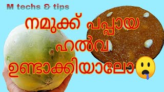 Papaya Halwa Recipe In Malayalam #M Techs & Tips