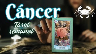 CÁNCER TAROT ♋️ LO DECRETO 🙏🏻 TE LLEGA ABUNDANCIA. SEMANA DEL 19 AL 25 DE AGOSTO 2024