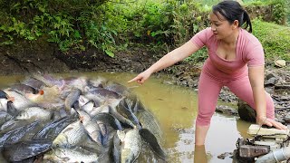 FULL VIDEO: Hunting Wild Catch fish | Using pumps water outside the natural lake, catch many fish