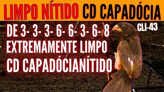 cli-43 CD CAPADÓCIA CURIÓ COM REPETIÇÃO EXTREMAMENTE LIMPO NÍTIDO CD CAPADÓCIA