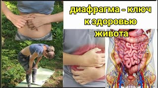 Кишечник и половые органы деградируют, мучает стресс? Освободите 3 отверстия в диафрагме