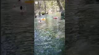 Wimberley, Tx #nature #creek   Blue Hole Regional Park #bluehole