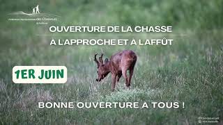 Ouverture de la chasse à l'approche