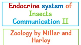 Endocrine System in insects