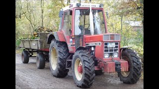 IHC 844 XL Rüben fahren [GoPro] #Sound