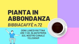 Pianta in abbondanza | Bibbiacaffè n. 72 | Zac e Cloe