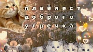 Плейлист доброго утречка☀️||утренний плейлист||Morning playlist|| Рыжик.