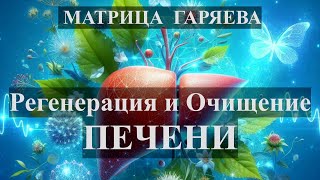 Матрица Гаряева💠Регенерация и Очищение Печени🍀Matrix Garyaev💠Regeneration and Cleansing of the Liver