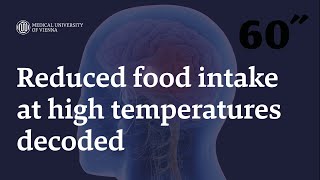 60 Seconds of Science! Reduced food intake at high temperatures decoded