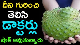 దీని గురించి తెలిసి డాక్టర్లు షాక్ ! | lakshmana phalam uses in telugu