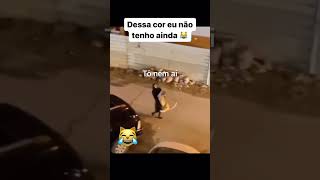 Que gatão 🐈🤣🤣🤣