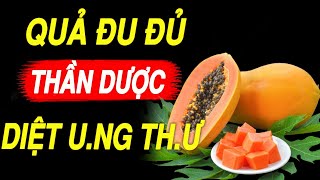 Công Dụng Chữa Bệnh Của Quả Đu Đủ- Ăn đu đủ xanh hay đu đủ chín tốt cho sức khỏe hơn?/ KHỎE MỖI NGÀY