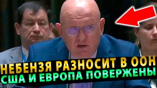 Разгром Штатов и Европы в ООН: Василий Небензя разнес всех!