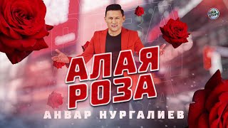 Анвар Нургалиев - Алая роза / Любимым женщинам с 8 марта!