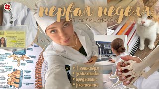 первая неделя в медицинском | 1 курс | пары, лекции и анатомия | КУБГМУ