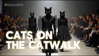 Cats on the Catwalk (Meow, meow, strut the catwalk)