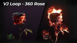 VJ Loop - 360 Rose (burning)