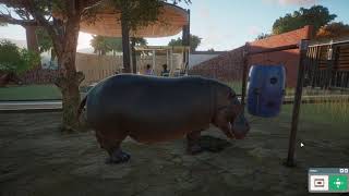 My recent zoo on Planet Zoo