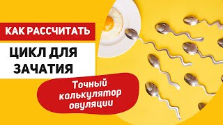 Точный калькулятор овуляции - как рассчитать цикл для зачатия