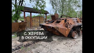 История реальность из села Жерева. Жизнь после оккупации.