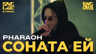 Pharaoh - Соната Ей