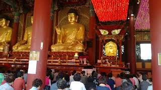 Jogyesa Temple Seoul Korea