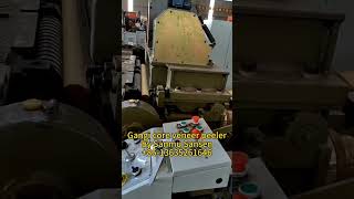 Gangi wood veneer machine//mesin kayu lapis mesin //लाईवुड मशीन  plywood machine