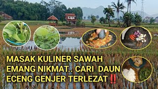 Cari lalaban eceng di sawah langsung mukbang... masakan istri..bumbu resep terlezat sedunia..