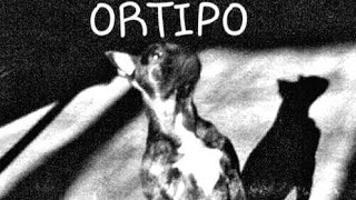 A TRUBUTE TO ORTIPO: Grand Duchess Tatiana's Little French Bulldog