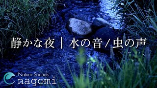 【環境音/ASMR】水の音・虫の声｜静かな夜の虫の声・優しい水の音｜睡眠・リラックス｜自然環境音・Nature Sounds