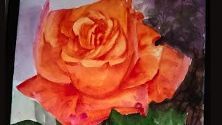 Water Colour Painting A Rose In Easy Step!! How To Paint A Rose In Easy Way!!@Rubinaart