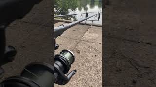 Carp run on the Delkim TXI-D  (10)#carp #fishing #carpfishing #mirrorcarp #carpbites&runsuk