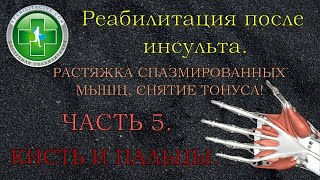 Растяжка спазмированных мышц, снятие тонуса. Кисть и пальцы. Реабилитация после инсульта. Часть 5.