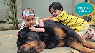 Dog playing with his newborn babies | rottweiler | the rott new vlog |