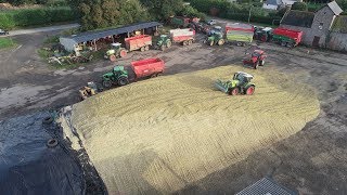 Tassage de maïs 2019 | Claas/Case