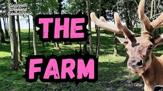 The Farm: A drive thru hilarious animal feeding adventure