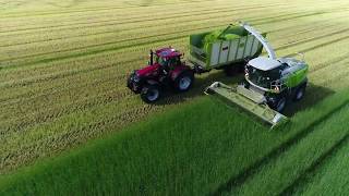 Claas Jaguar 990 + John Deere 9900 bei der Arbeit