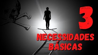 Necessidades básicas do ser humano?