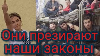 Они презирают наши законы